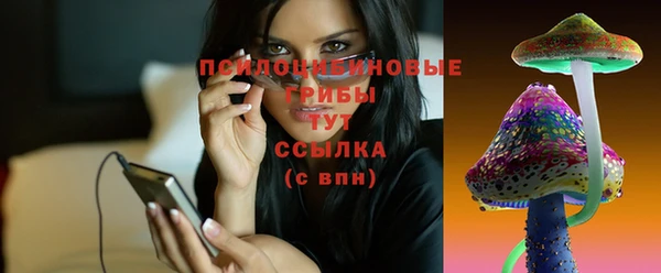 спайс Покачи