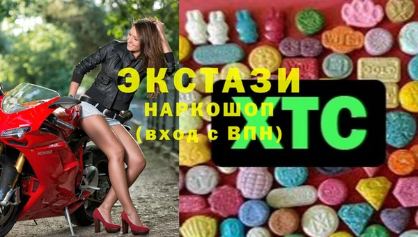 шишки Аркадак