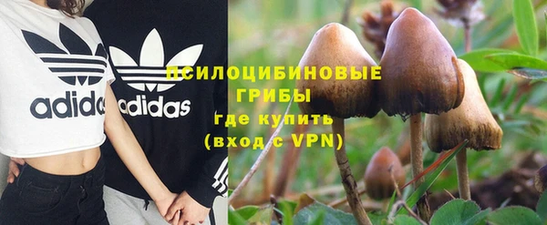 винт Армянск