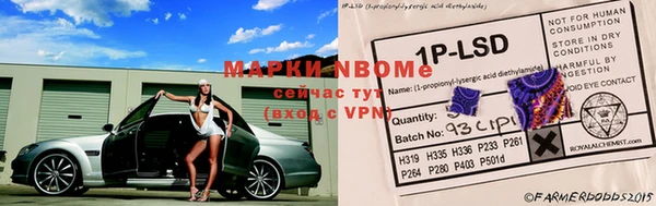 шишки Аркадак