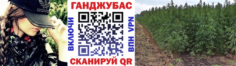 купить   Теберда  Бошки Шишки семена 